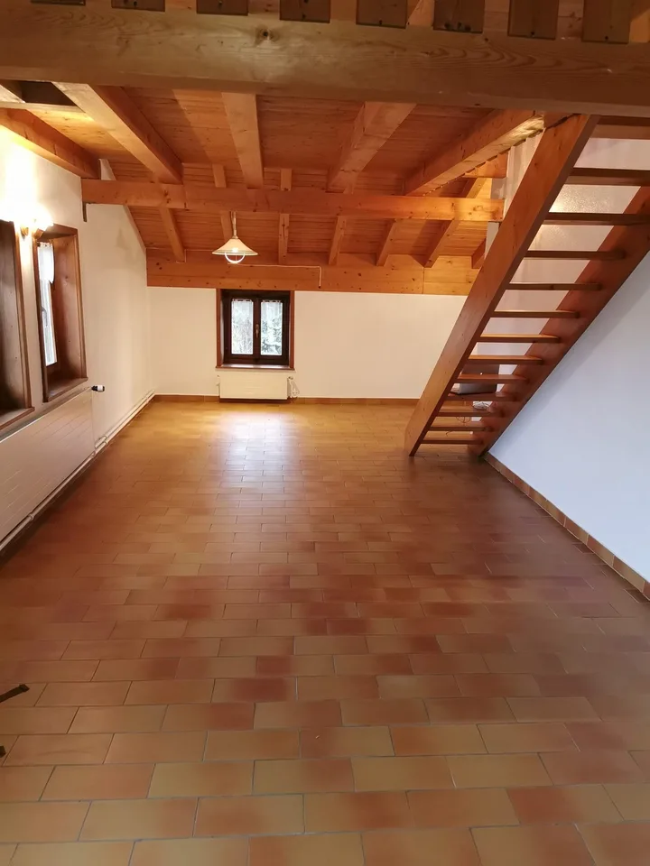 Grand studio 60 m² avec mezzanine, Neyruz (FR)