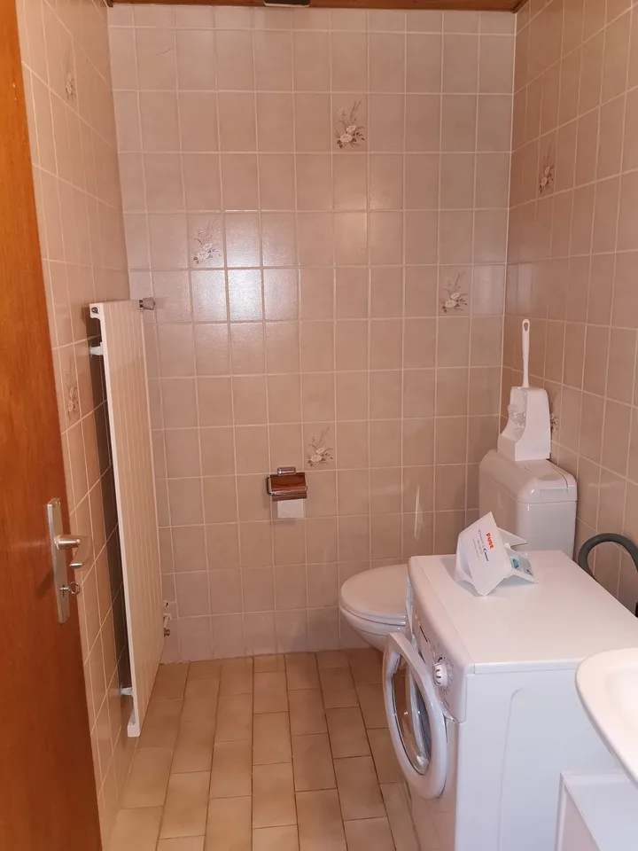 Grand studio 60 m² avec mezzanine, Neyruz (FR)