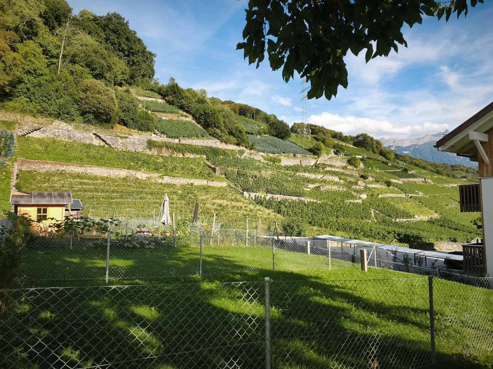 Charmant appartement neuf de 2.5 pièces, 70 m2, avec jardin privatif