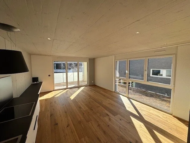Dream apartment in Heerbrugg