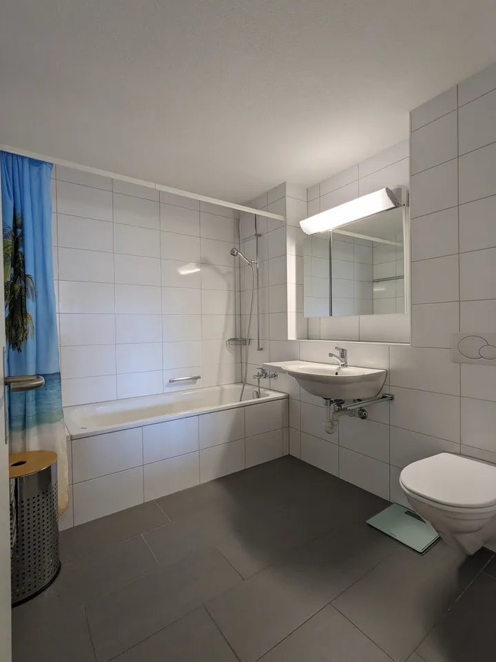 Lichtdurchflutete 2.5-Zimmer-Wohnung mit Balkon & toller Aussicht über das Limmattal (befristet)