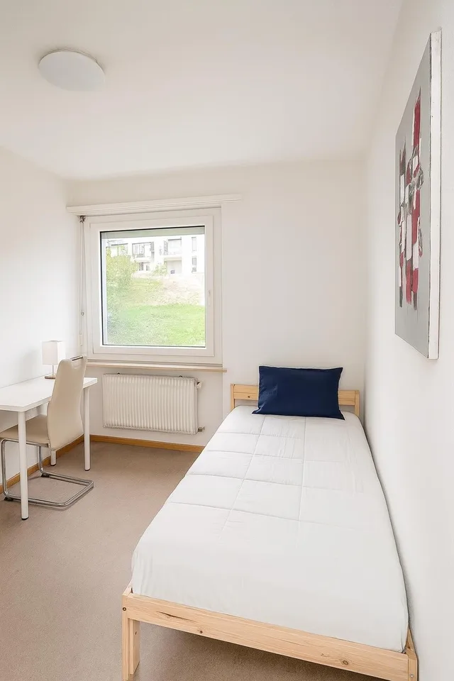 Private Room in Shared Apartment in Richterswil