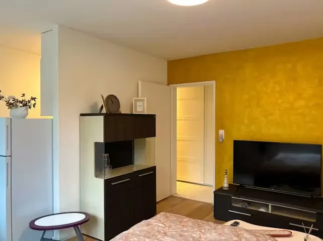 ✨Fully Furnished 1.5-Room Apartment in Langnau am Albis
