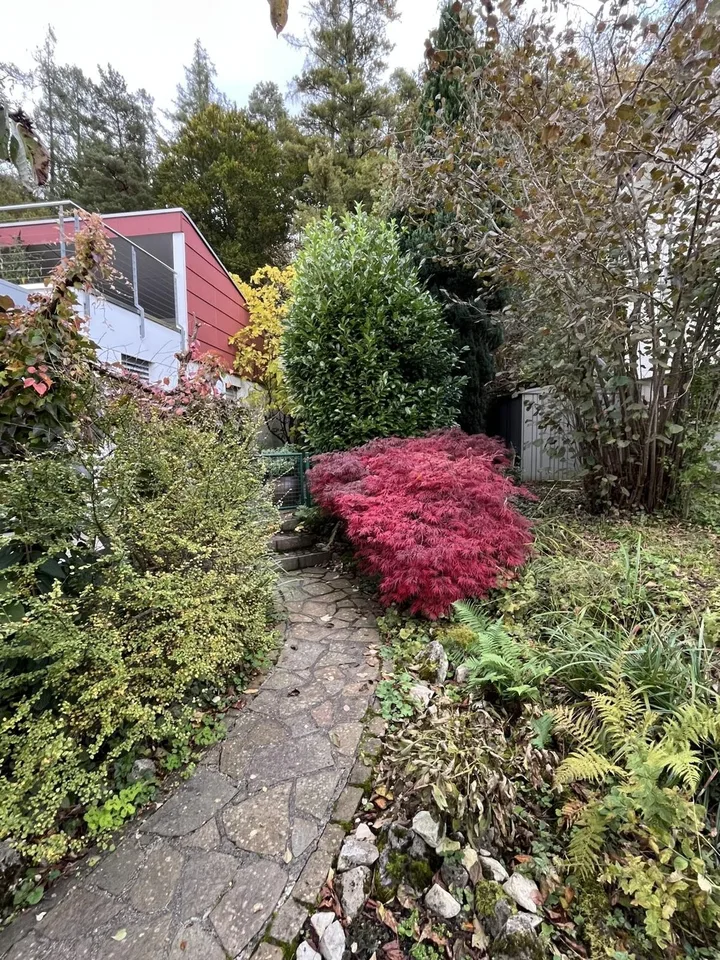Nachmieter gesucht 6.5 Zimmer Einfamilienhaus Reinach AG, 1 November 2026