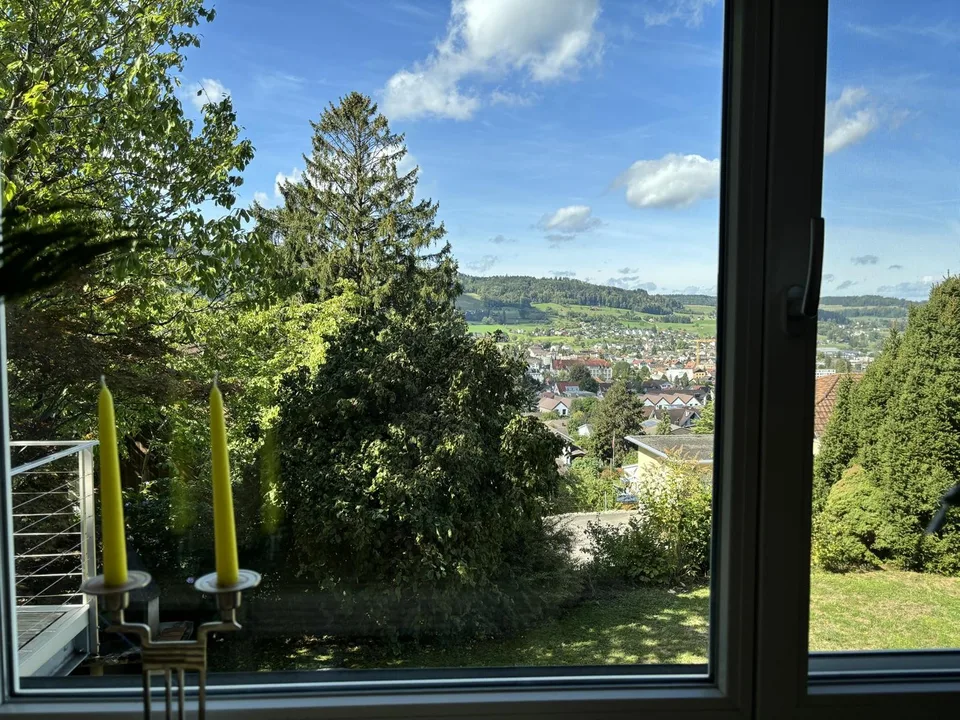 Nachmieter gesucht 6.5 Zimmer Einfamilienhaus Reinach AG, 1 November 2026