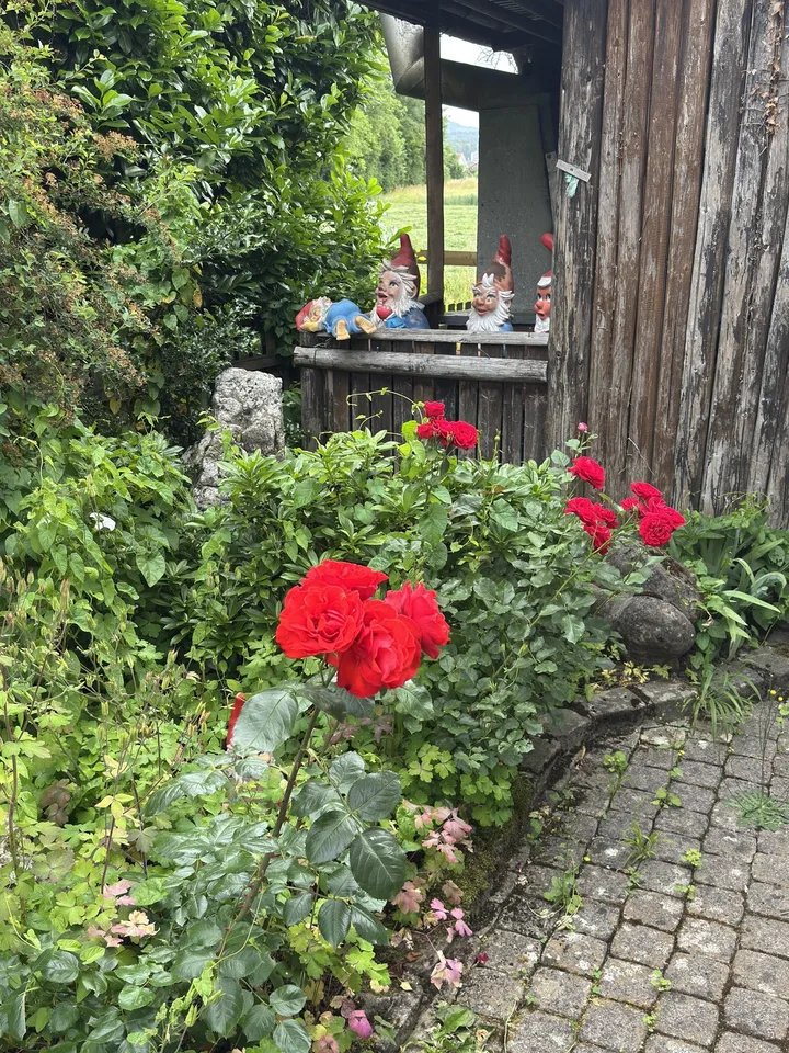 Freistehend | Naturnah | Grosser Garten | Freiraum | Zukunftspotenzial – foto 7 di 30