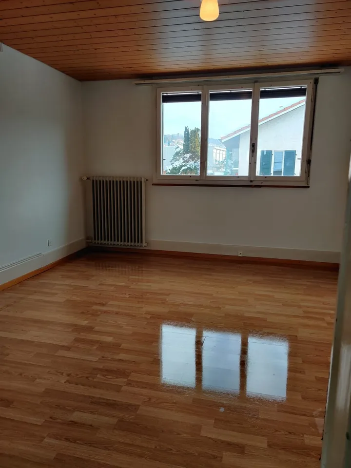 Gemütliche 3.5-Zimmer-Altbauwohnung mit viel Holzcharme & grosser Terrasse