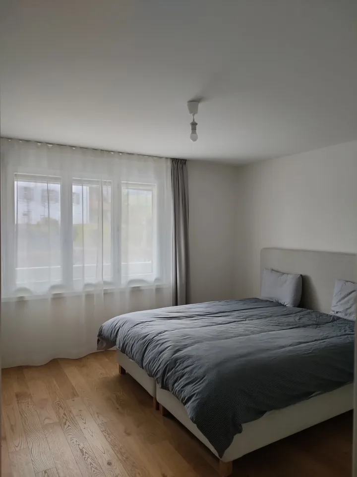 4.5 Zimmer Wohnung