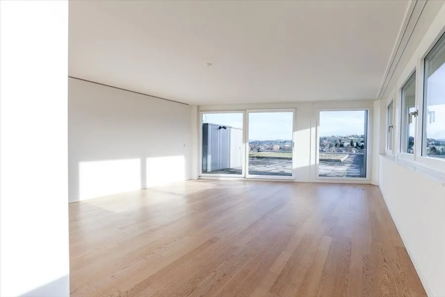 Modern wohnen mit Säntisblick in Uzwil