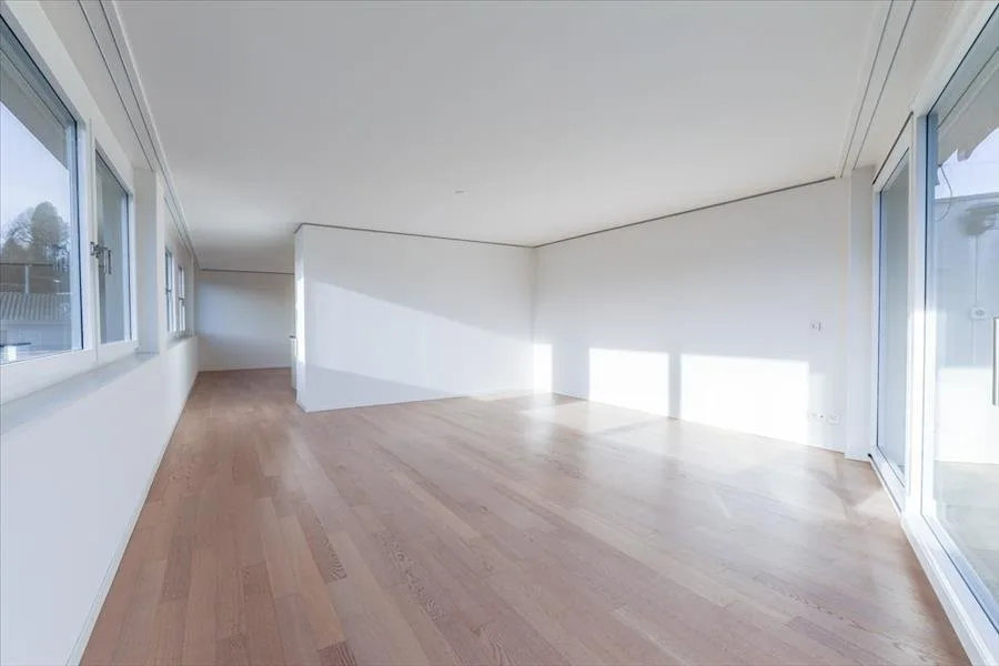 Modern wohnen mit Säntisblick in Uzwil