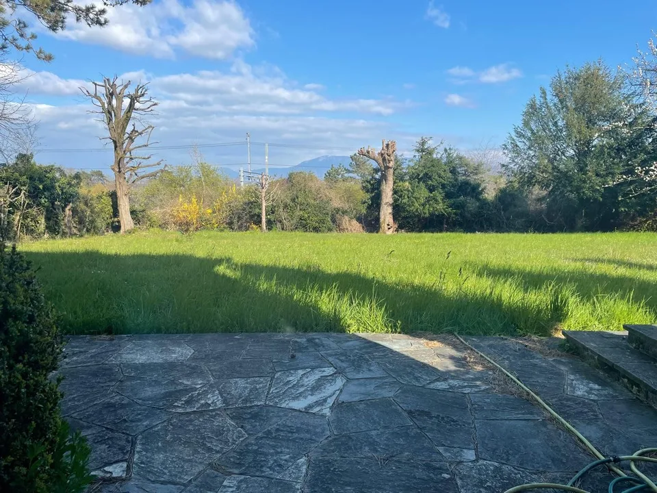 Charming room in Chambésy – CHF 1,200/month, Utilities Included