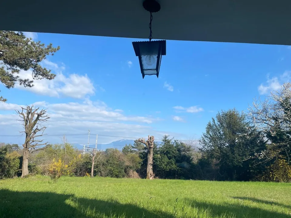 Charming room in Chambésy – CHF 1,200/month, Utilities Included