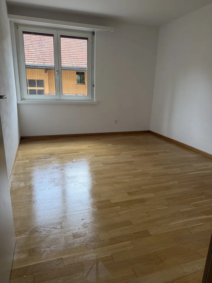 Mitbewohnerin gesucht
