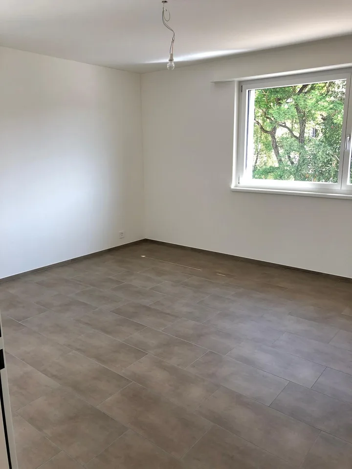Appartement moderne 4,5 pièces à Stüsslingen – Construction neuve avec norme Minergie