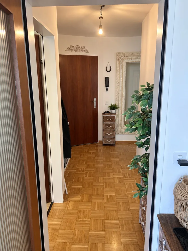 Sonnige 3 Zimmer Wohnung in Liestal