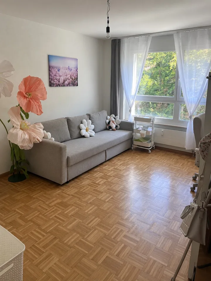 Sonnige 3 Zimmer Wohnung in Liestal