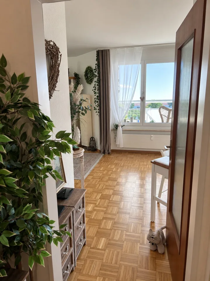 Sonnige 3 Zimmer Wohnung in Liestal