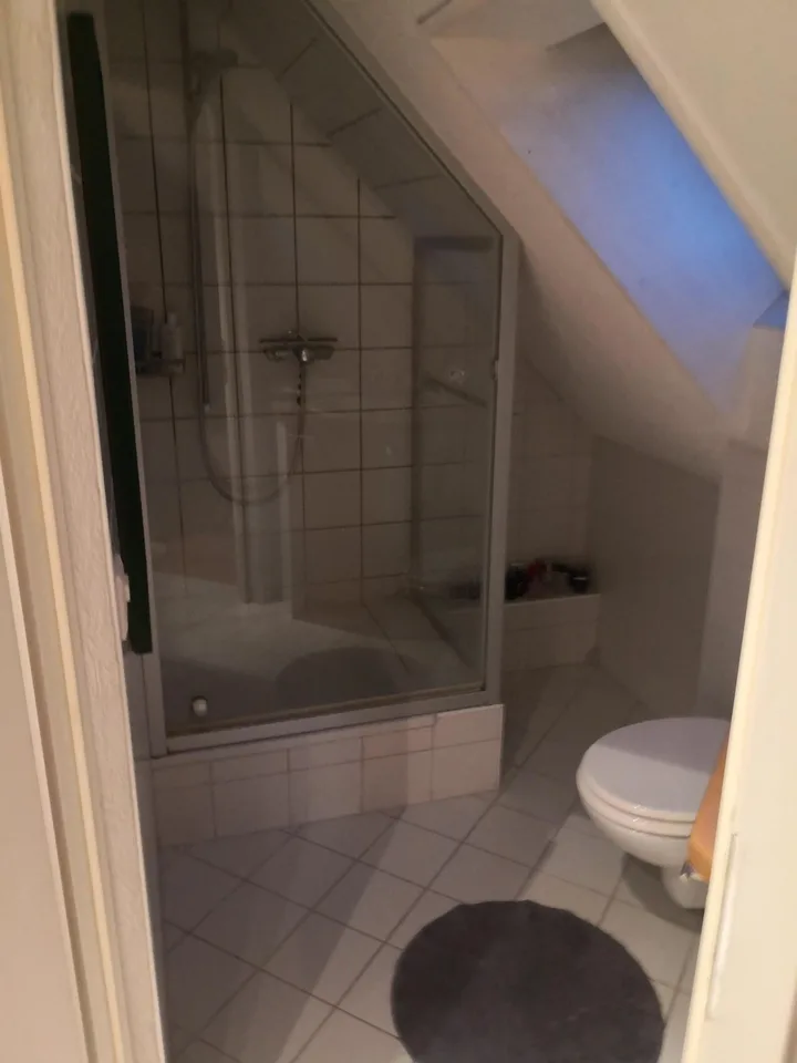 WG-Zimmer, aber mehr eine Einliegerwohnung, das ganze Haus kann/soll mitgenutzt werden