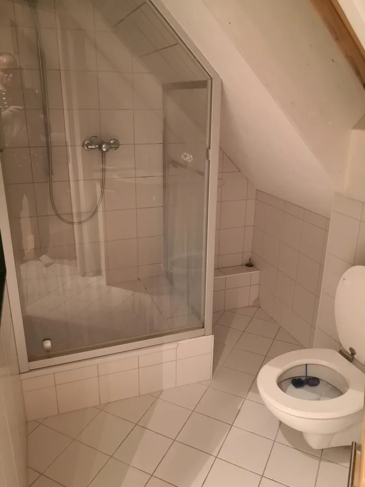 WG-Zimmer, aber mehr eine Einliegerwohnung, das ganze Haus kann/soll mitgenutzt werden