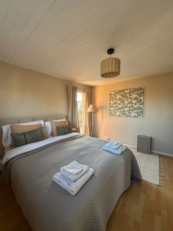 Furnished Apartment for Temporary Rental in Duillier