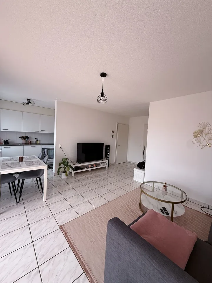 Magnifique appartement de 65m2 disponible à partir du 01.10.2026 (reprise de bail)
