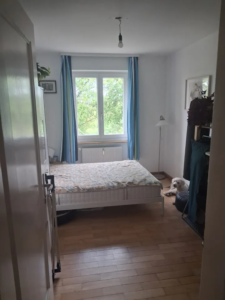 Charmante Wohnung im Hochparterre