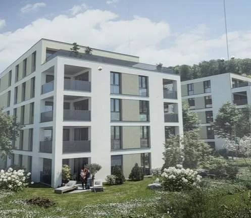 Premier location d'un grenier haut de gamme à Zofingen avantageux en termes d'impôts