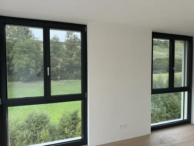 Premier location d'un grenier haut de gamme à Zofingen avantageux en termes d'impôts