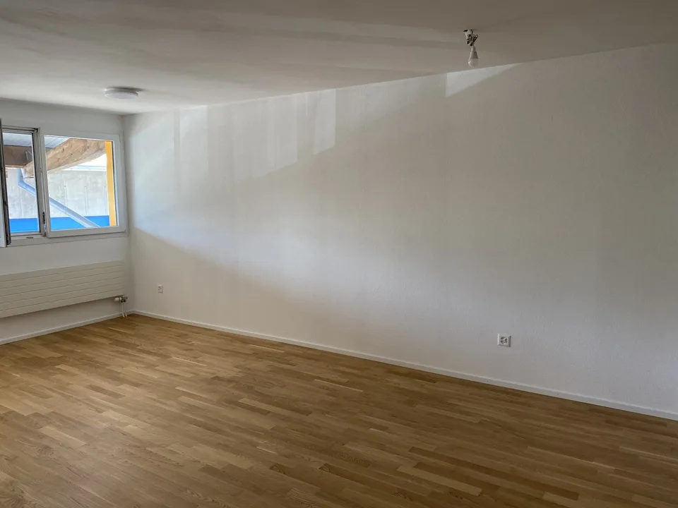 1.5 Zimmer-Wohnung mit eigenem Waschturm in Wallenwil