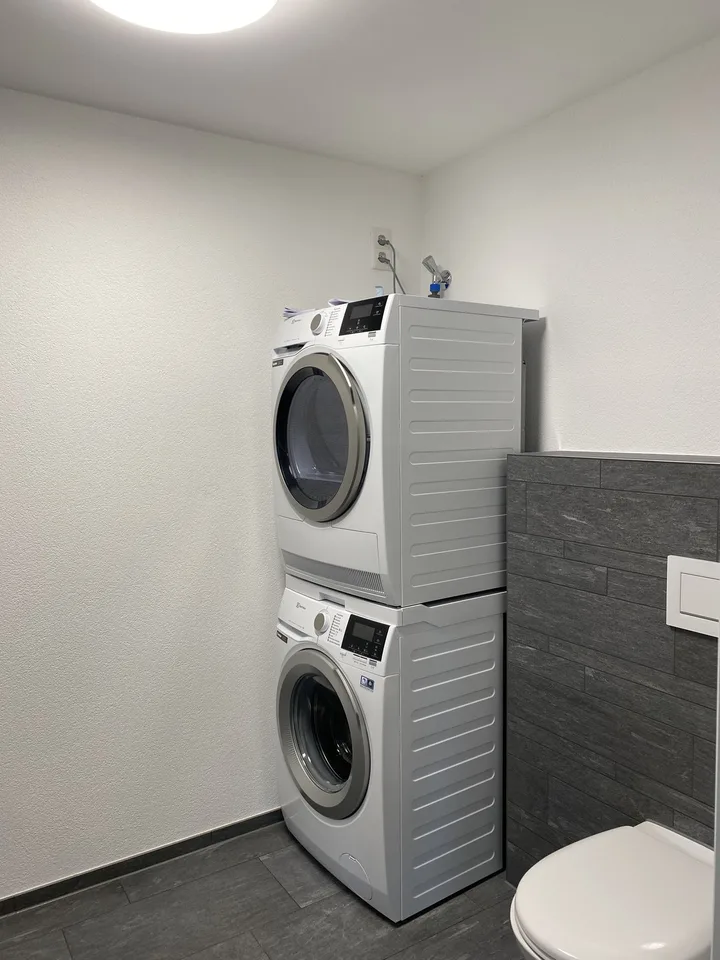 1.5 Zimmer-Wohnung mit eigenem Waschturm in Wallenwil