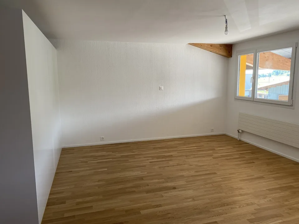 1.5 Zimmer-Wohnung mit eigenem Waschturm in Wallenwil