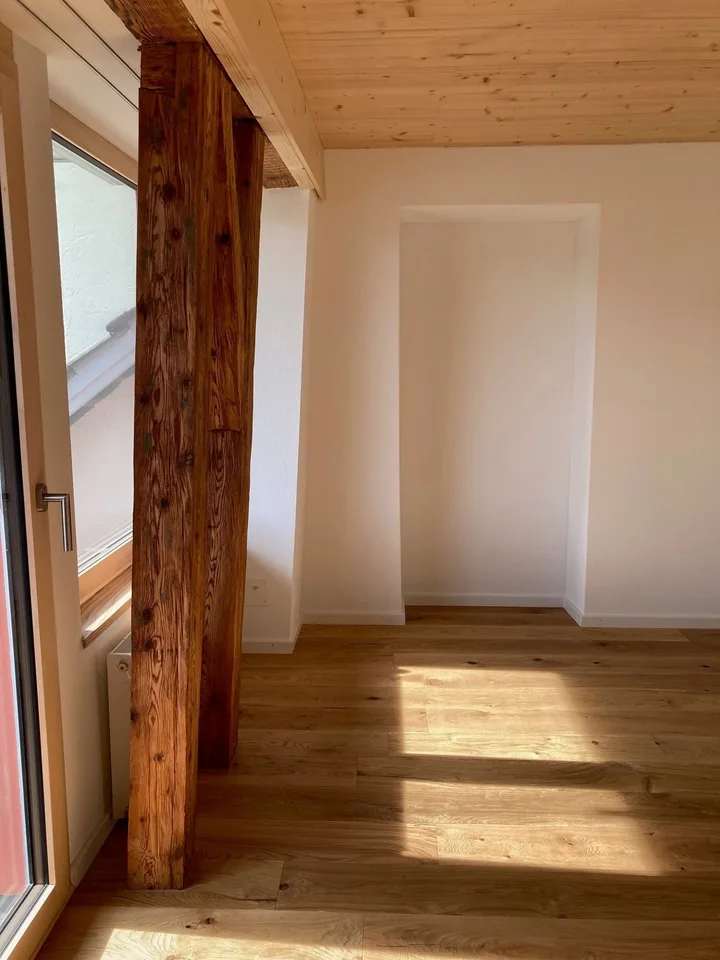 Helle neu renovierte 2.5 Zimmer Wohnung