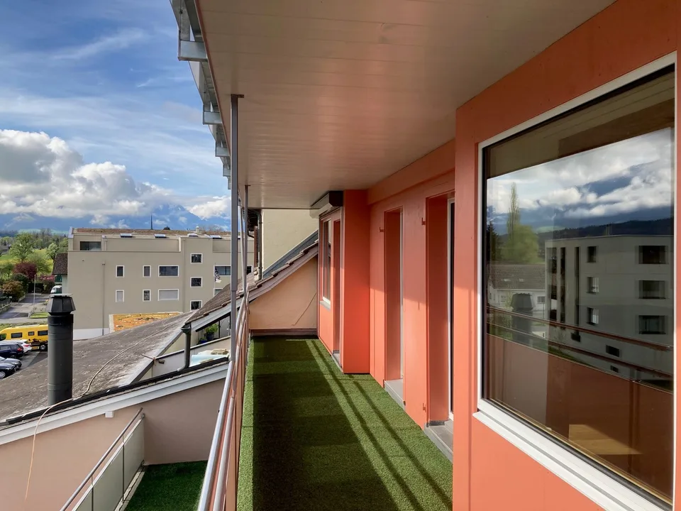 Helle neu renovierte 2.5 Zimmer Wohnung
