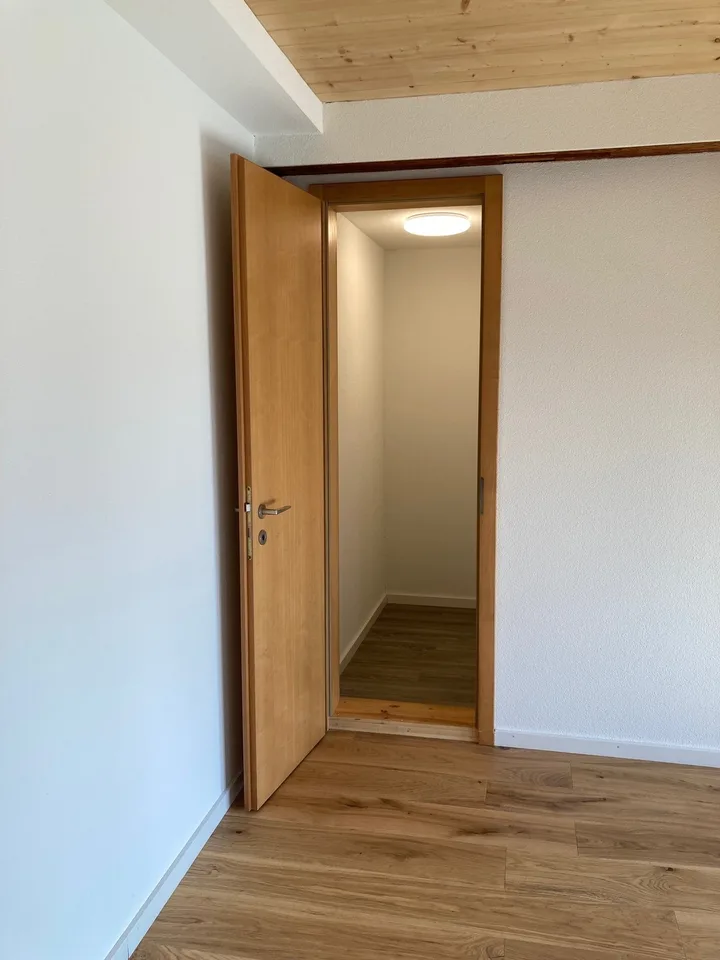Helle neu renovierte 2.5 Zimmer Wohnung