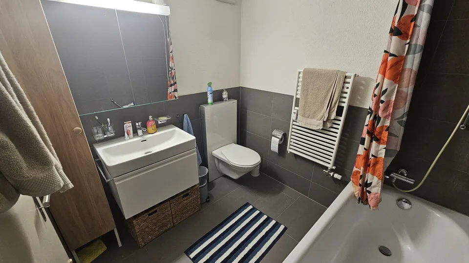 Furnished Room for Rent Zurich region