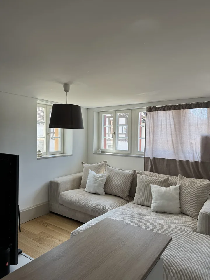 Moderne Wohnung in Volketswil