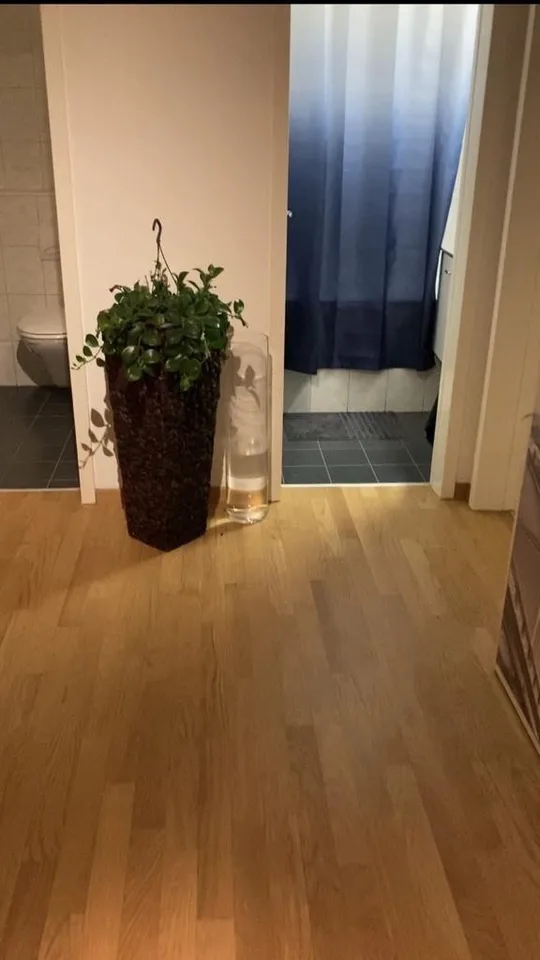 3 Zimmer Wohnung möbliert - 3 Rooms Apartment furnished