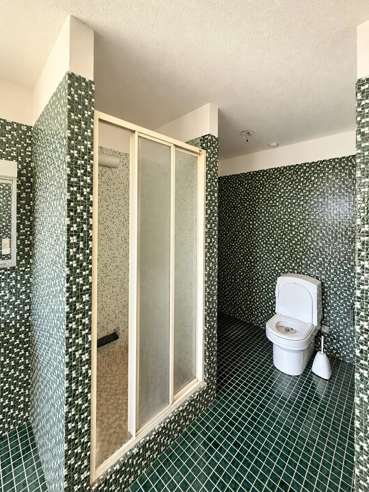 Grosszügige 8-Zimmer-Wohnung auf 255 m2 mit Retro-Charme über den Dächern von Emmenbrücke