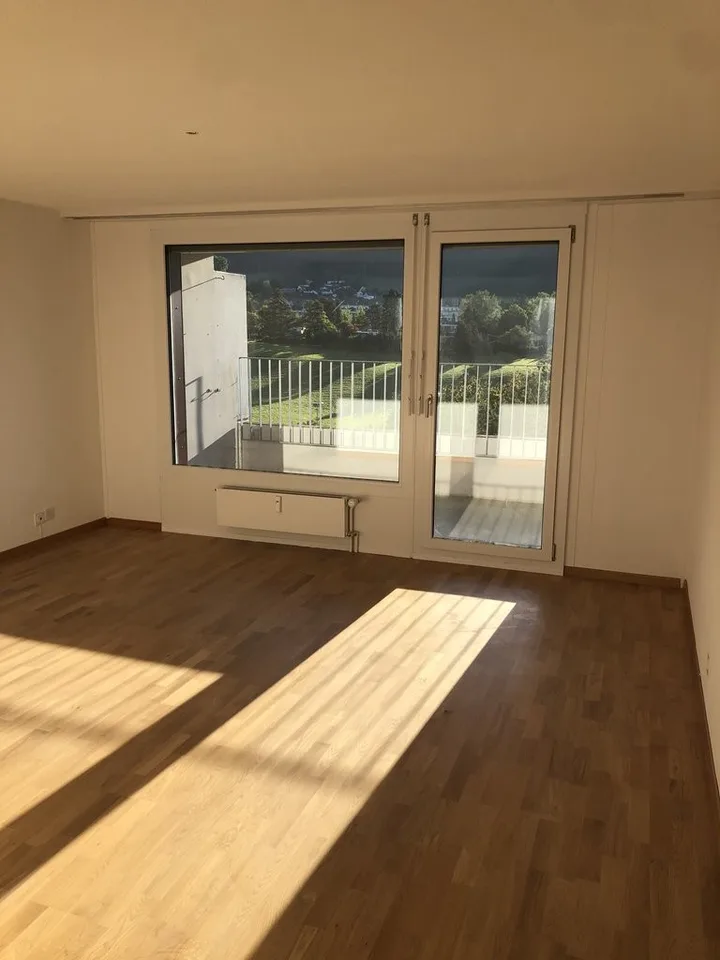 Appartement en attique avec vue sur les montagnes dans la vallée de Lutertal