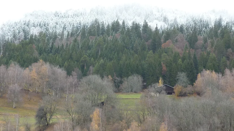 Grosses Haus mit drei Wohnungen zu vermieten an sehr ruhiger Lage