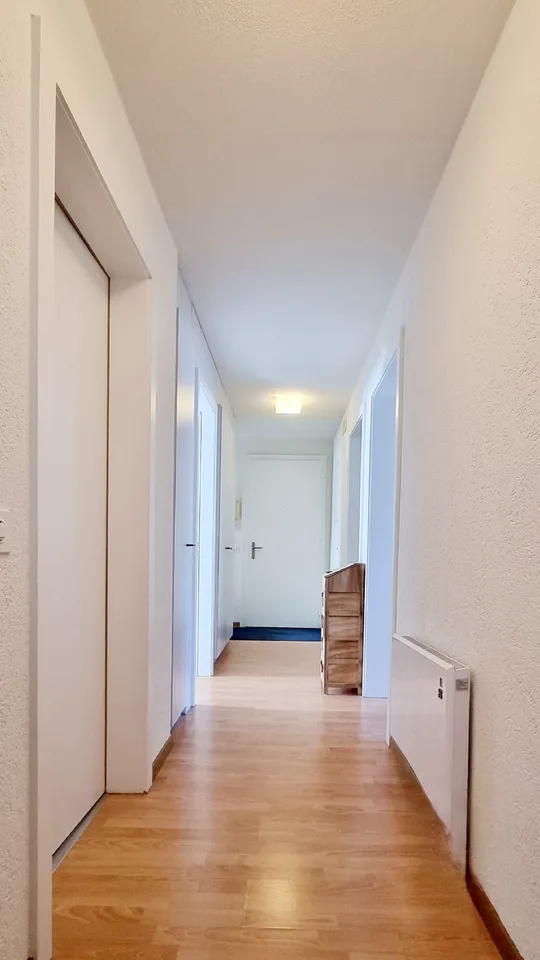 Appartement lumineux et spacieux de 4,5 pièces en situation en pente à Erlinsbach AG