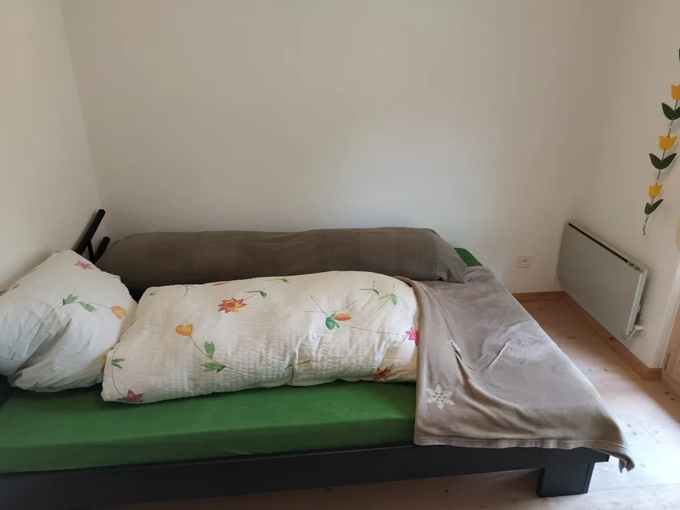 3.5 Zimmer Hausteil oberhalb von Churwalden in Waldesnähe