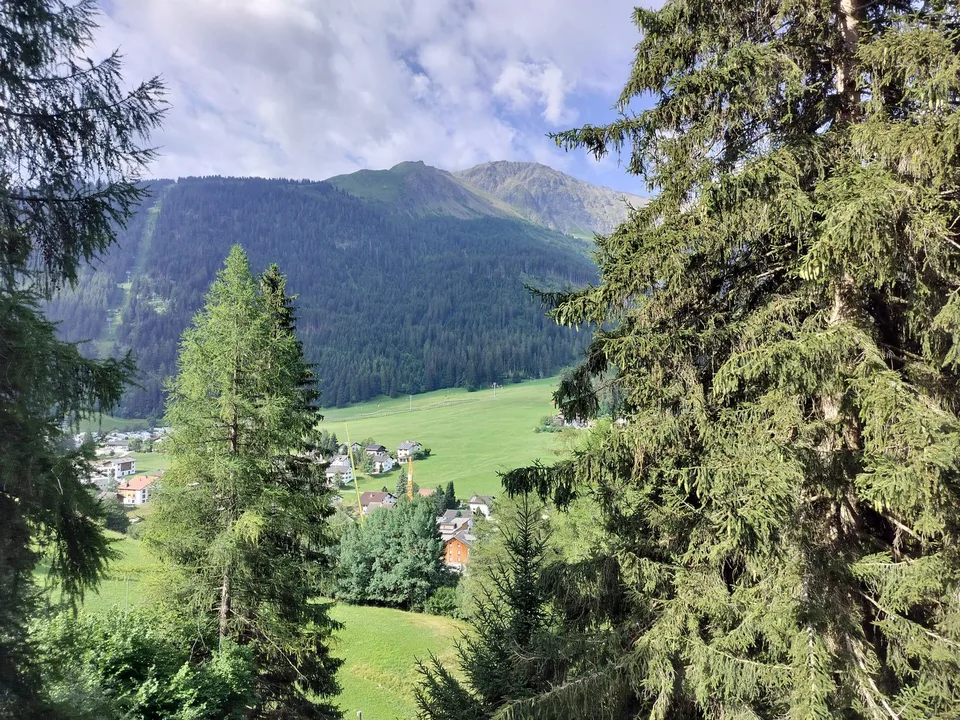 3.5 Zimmer Hausteil oberhalb von Churwalden in Waldesnähe