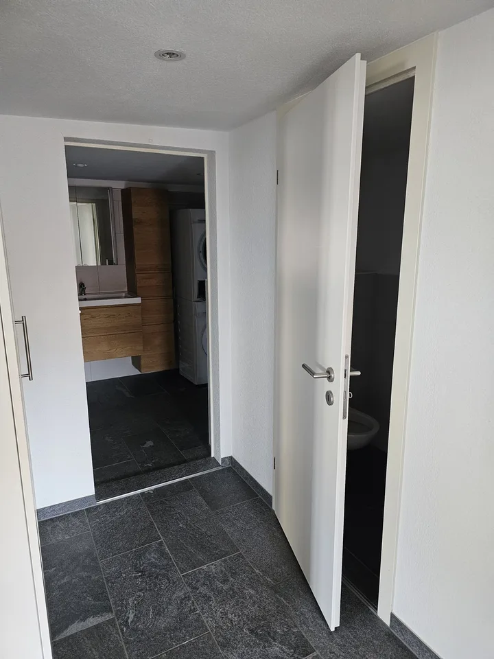 4.5 room Apartment in Central Affoltern Am Albis