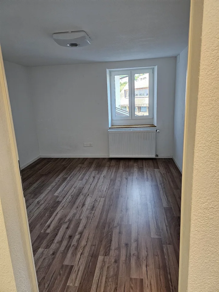 4.5 room Apartment in Central Affoltern Am Albis