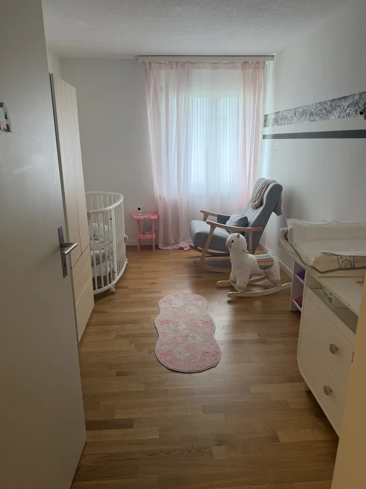 Preiswerte 4.5 Zimmerwohnung in Eschenbach Luzern
