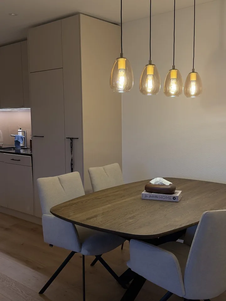 Neue und moderne, möblierte 3.5 Zi Wohnung