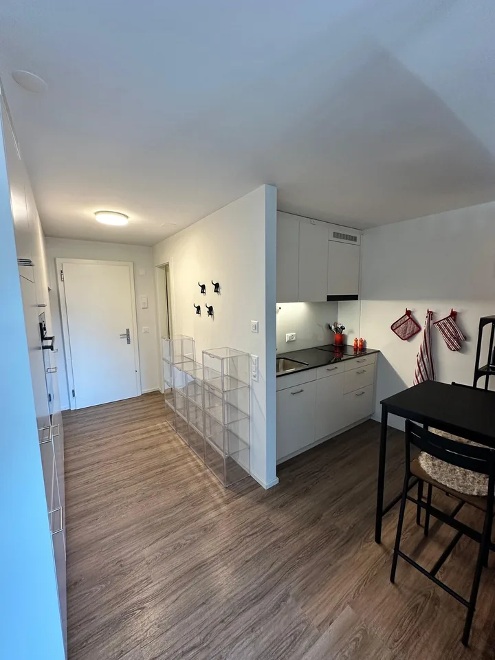 Möbliertes Studio in Baar mit Balkon ab sofort verfügbar