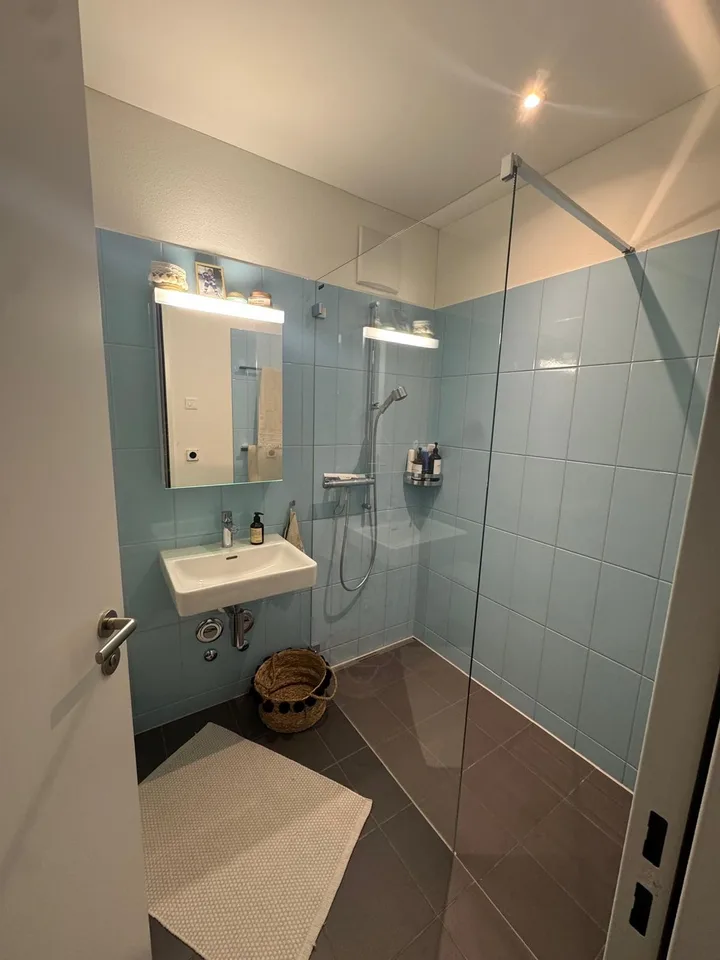 1.5 Wohnung (plus steuergünstig)