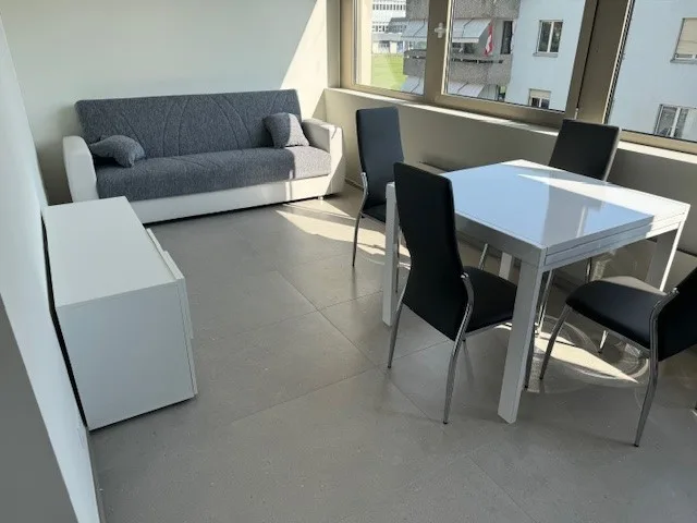 "1.5 Zimmer-Studio-Wohnung in Steinhausen"
